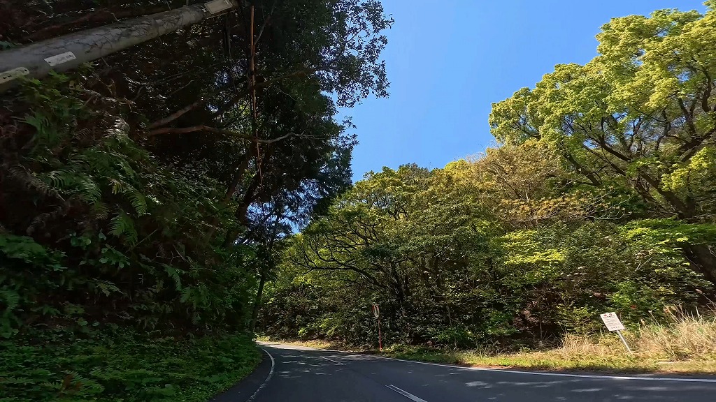 国道260号 南伊勢